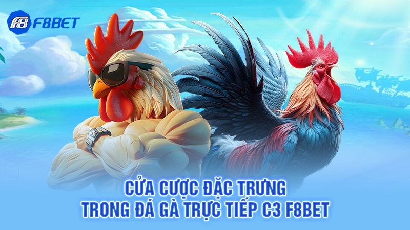 Cửa cược đặc trưng trong đá gà trực tiếp C3 F8bet
