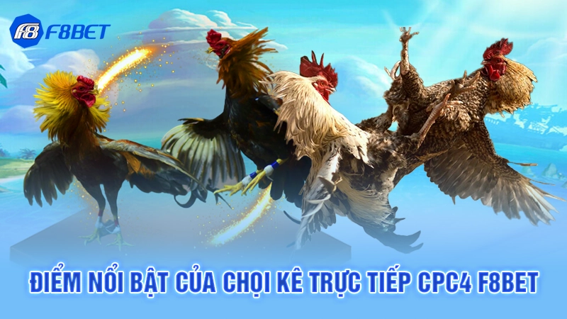 Điểm nổi bật của chọi kê trực tiếp cpc4 F8bet