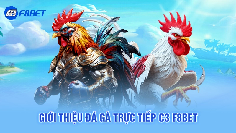 Giới thiệu đá gà trực tiếp C3 F8bet
