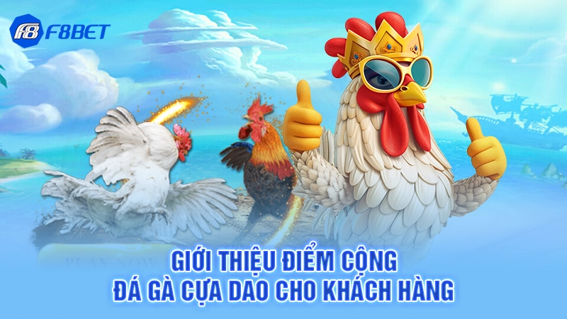 Giới thiệu điểm cộng đá gà cựa dao cho khách hàng