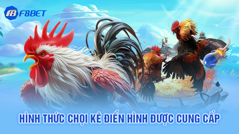 Hình thức chọi kê điển hình được cung cấp