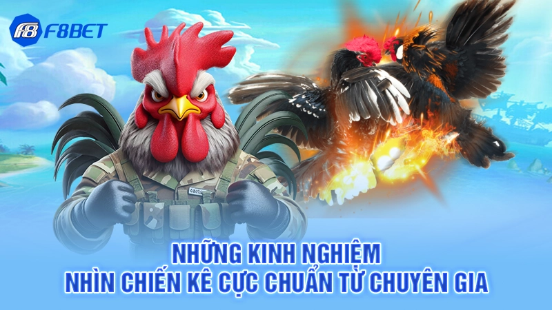 Những kinh nghiệm nhìn chiến kê cực chuẩn từ chuyên gia
