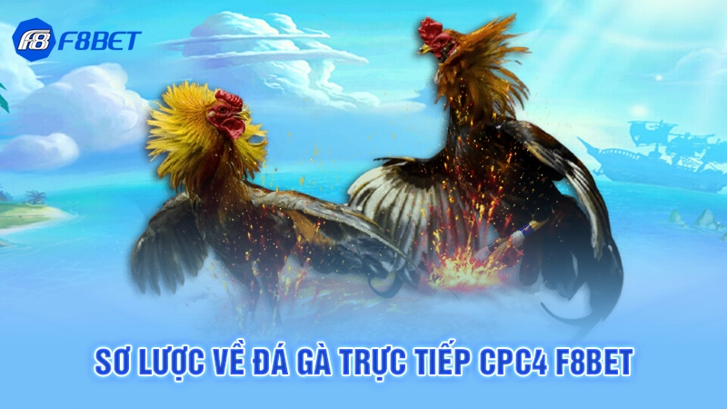 Sơ lược về đá gà trực tiếp cpc4 F8bet