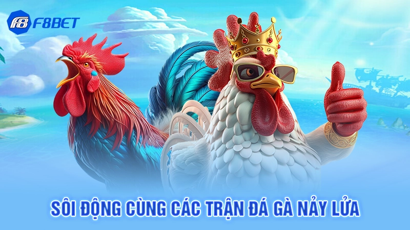 Sôi động cùng các trận đá gà nảy lửa