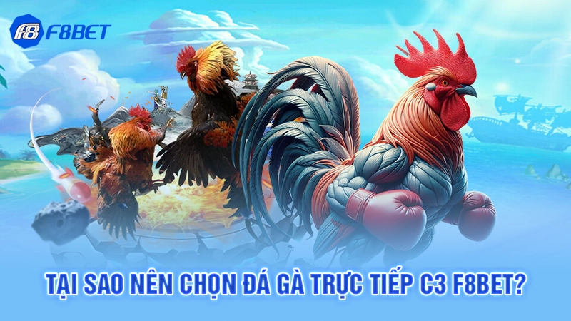 Tại sao nên chọn đá gà trực tiếp C3 F8bet?