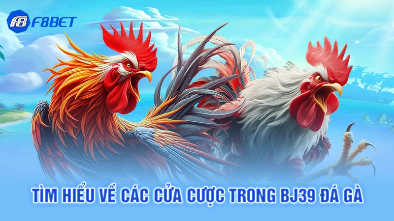 Tìm hiểu về các cửa cược trong Bj39 đá gà